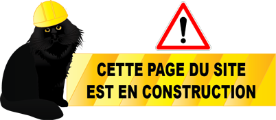 Page en construction