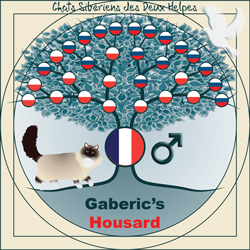 Gaberic's Housard